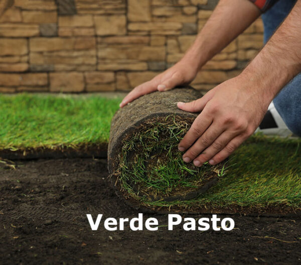 Verde Pasto